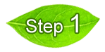 Step 1 Henna Powder Application