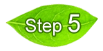 Step 5 Henna Powder Application