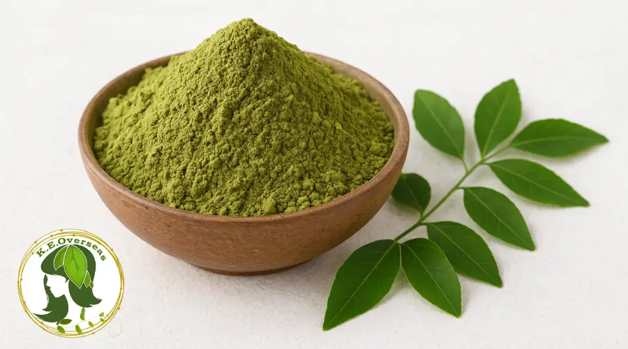 Why Brides Prefer Sojat Mehendi for Their Wedding Day